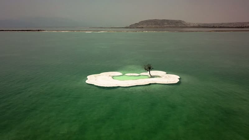 Île de sel et son arbre solitaire sur la mer Morte